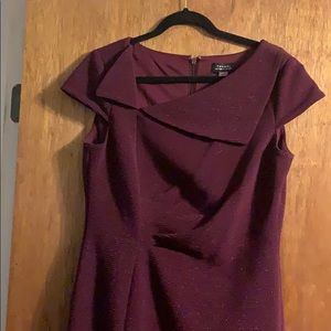Tabari dark purple shimmering dress